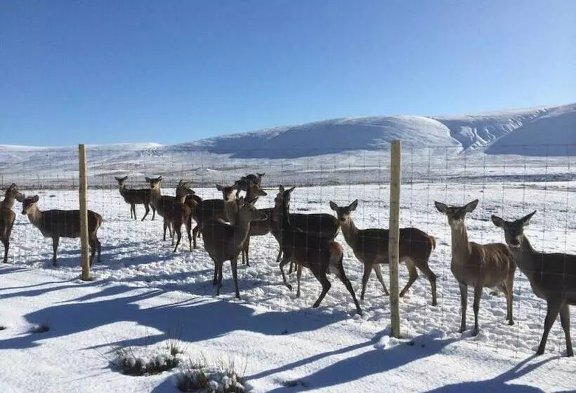 Mauldslie Hill Cottage