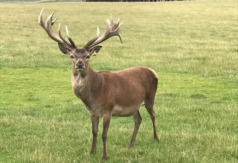 Mauldslie Hill Cottage