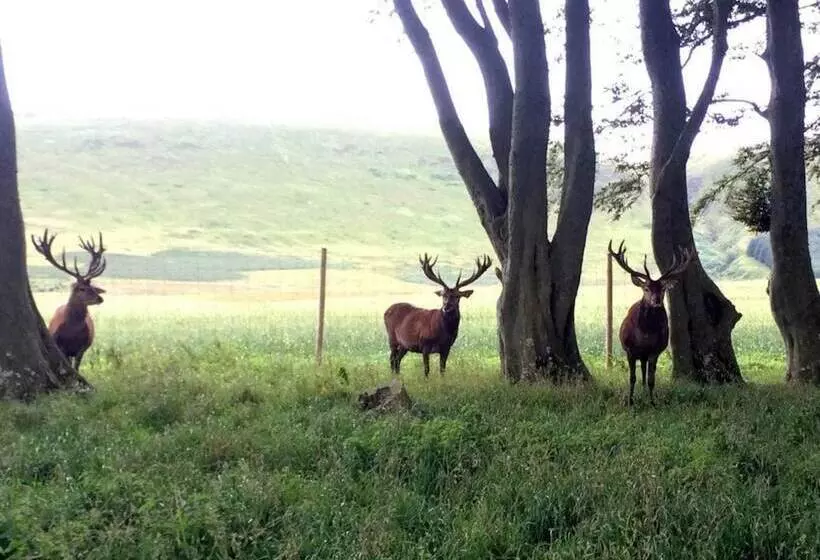 Mauldslie Hill Cottage