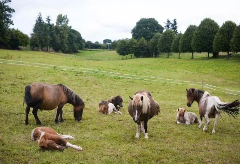 Majatalo Château De La Sémondière