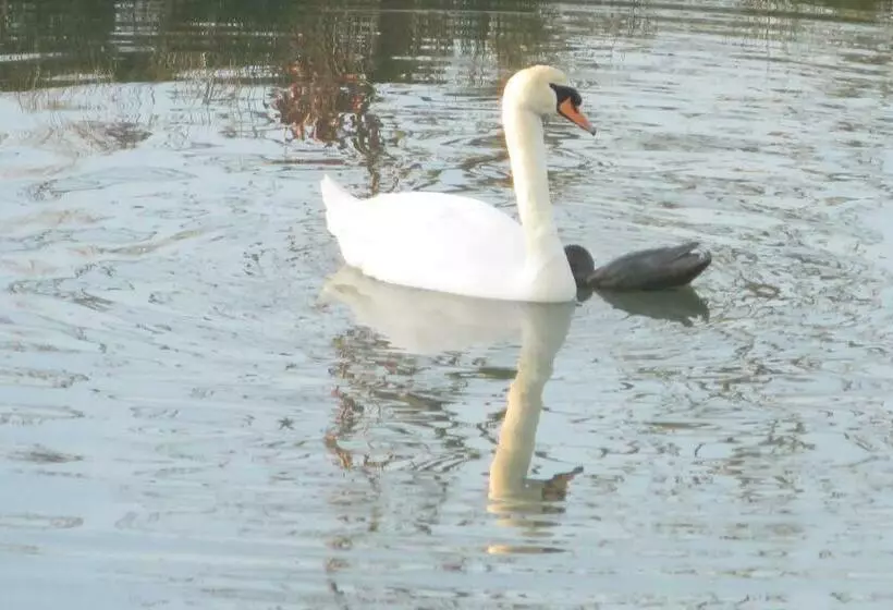 Majatalo Château De La Sémondière