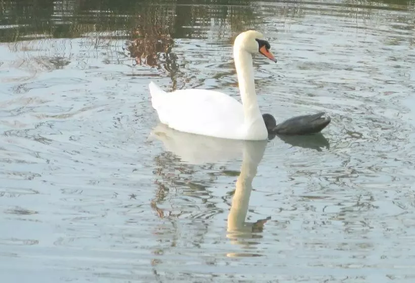 Majatalo Château De La Sémondière