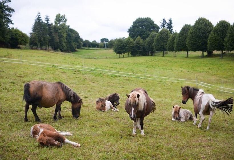 بنسيون Château De La Sémondière