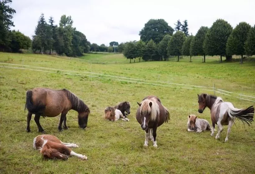 Majatalo Château De La Sémondière