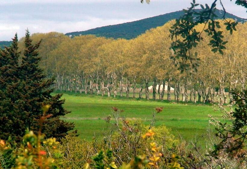 膳宿费 Domaine De Ceyrac   Chambres D Hôtes