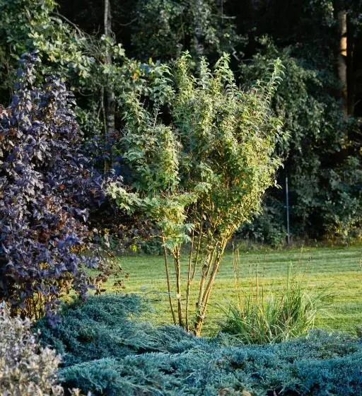 ペンション Eco Nieborów