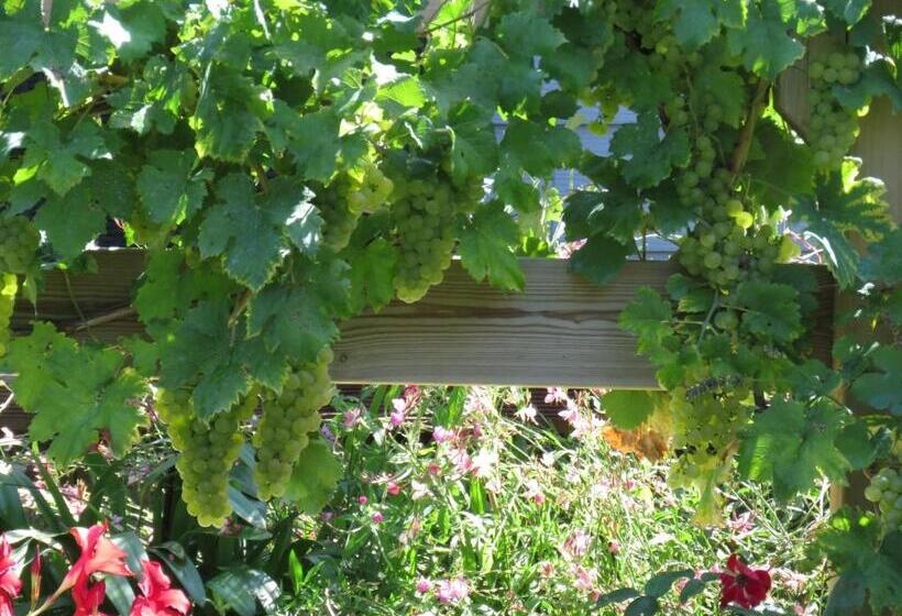 بنسيون Les Arums De Fondeminjean