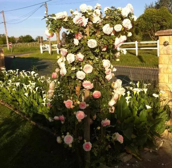 Majatalo Les Arums De Fondeminjean