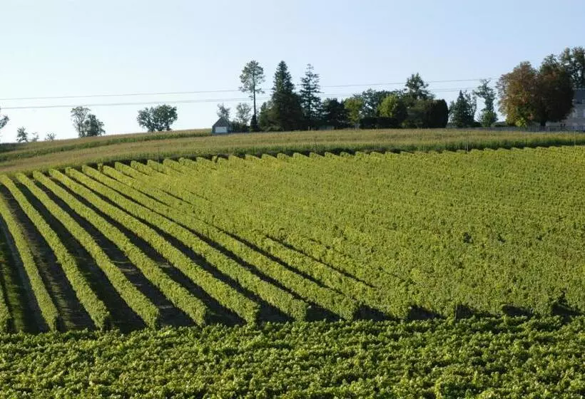 Majatalo Les Arums De Fondeminjean