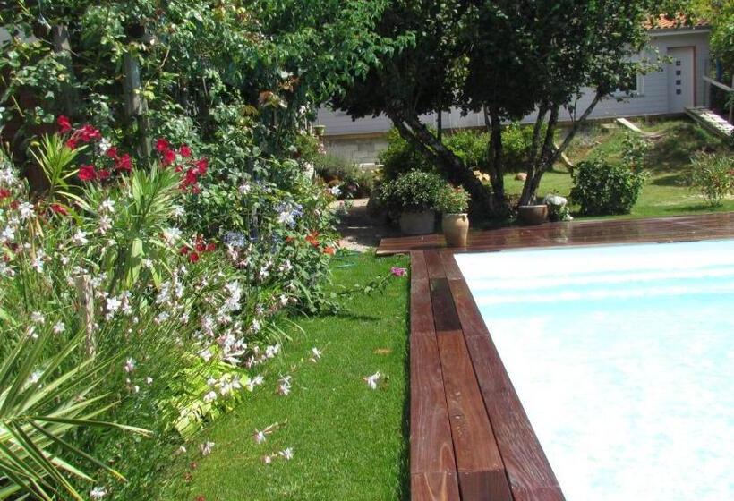 بنسيون Les Arums De Fondeminjean