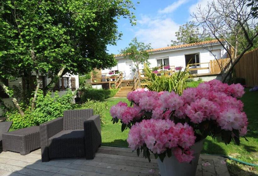 بنسيون Les Arums De Fondeminjean