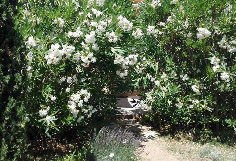 بنسيون U Cantu Grillu