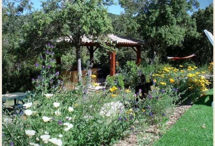 بنسيون U Cantu Grillu