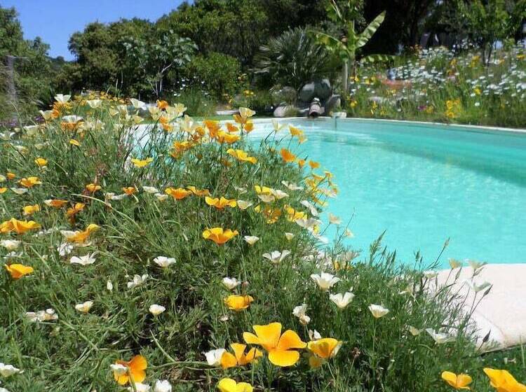 بنسيون U Cantu Grillu