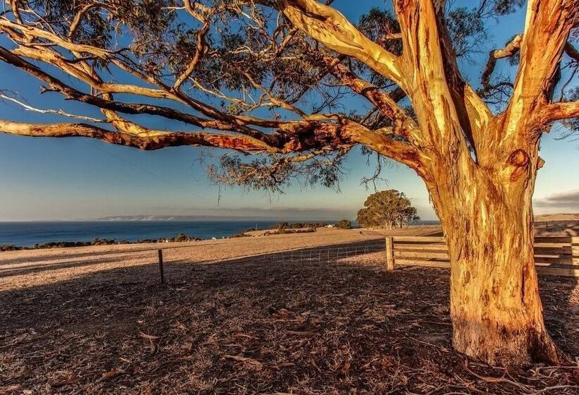 Antechamber Bay Retreats