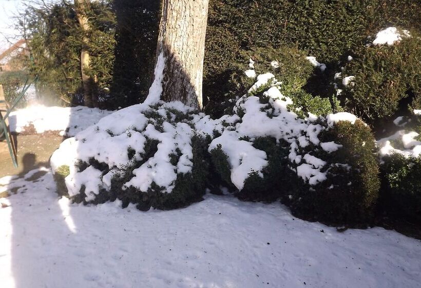 ペンション B&b La Buissonniere