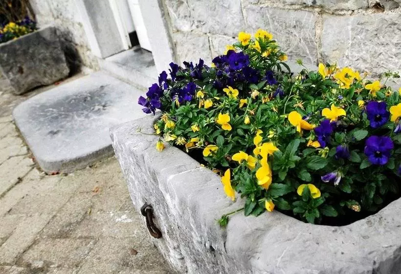 ペンション B&b La Buissonniere