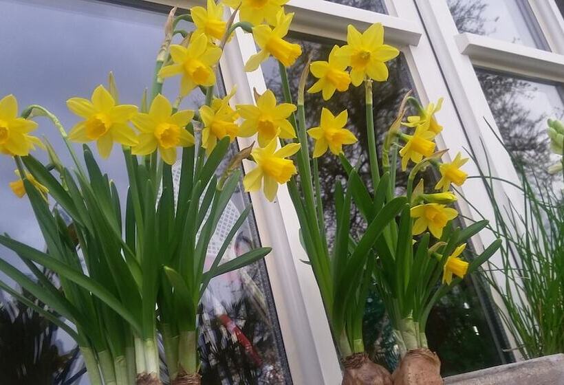 ペンション B&b La Buissonniere