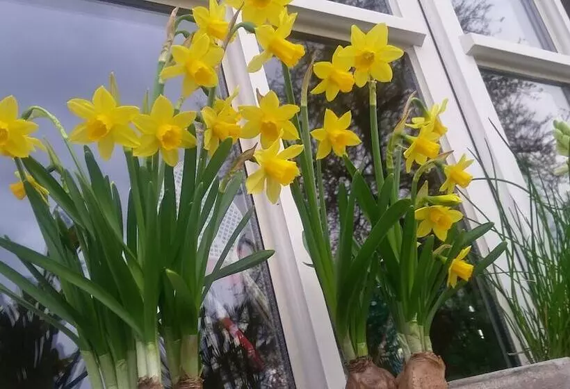 ペンション B&b La Buissonniere