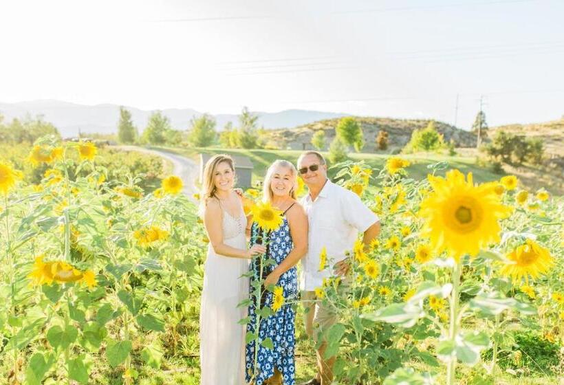 Hotel Mountain View Lodge