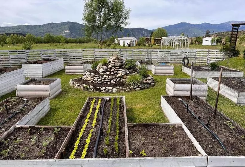 酒店 Mountain View Lodge