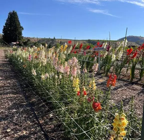 酒店 Mountain View Lodge