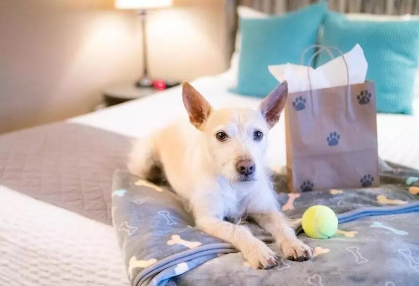 酒店 Mountain View Lodge