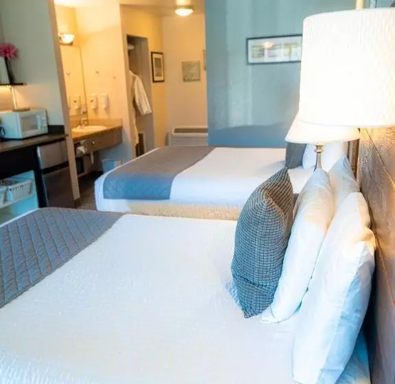 酒店 Mountain View Lodge