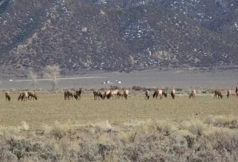 Hôtel Narrow Gauge Railroad Inn