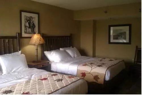 酒店 Oak Tree Lodge