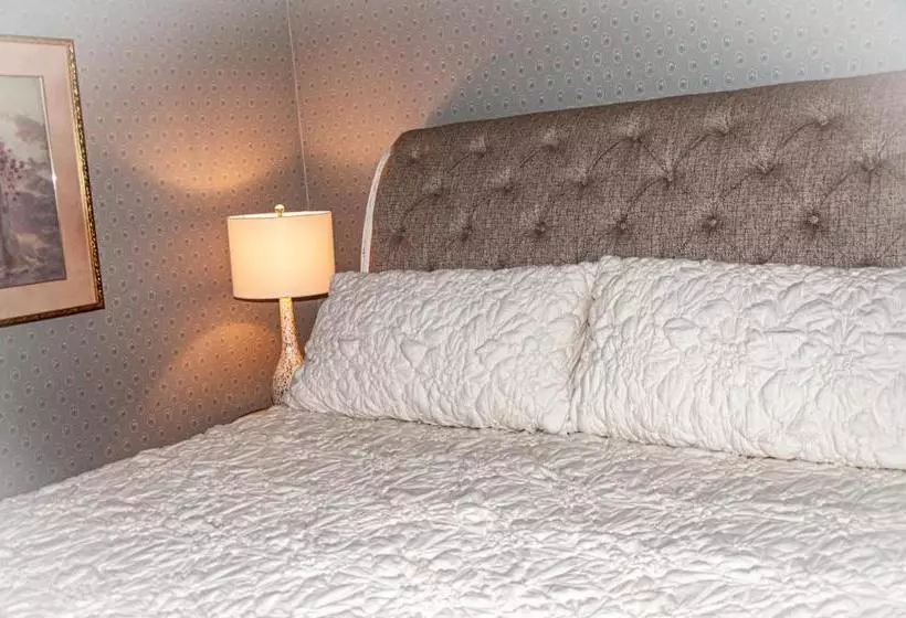 酒店 The Old Library Inn Bed & Breakfast