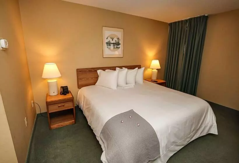 هتل The Northeastland