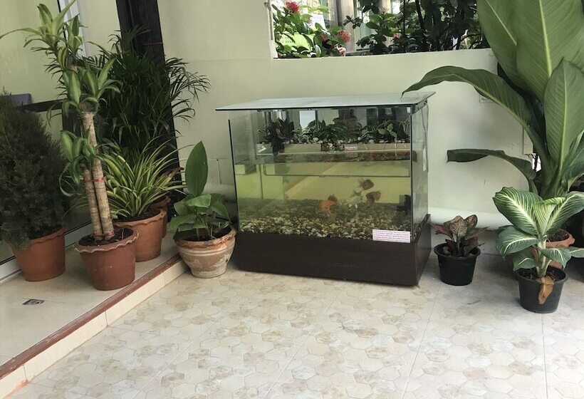 פנסיון Harrys Resiendence