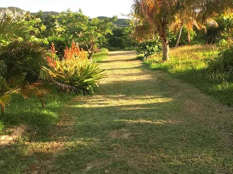 Victory Villas Antigua