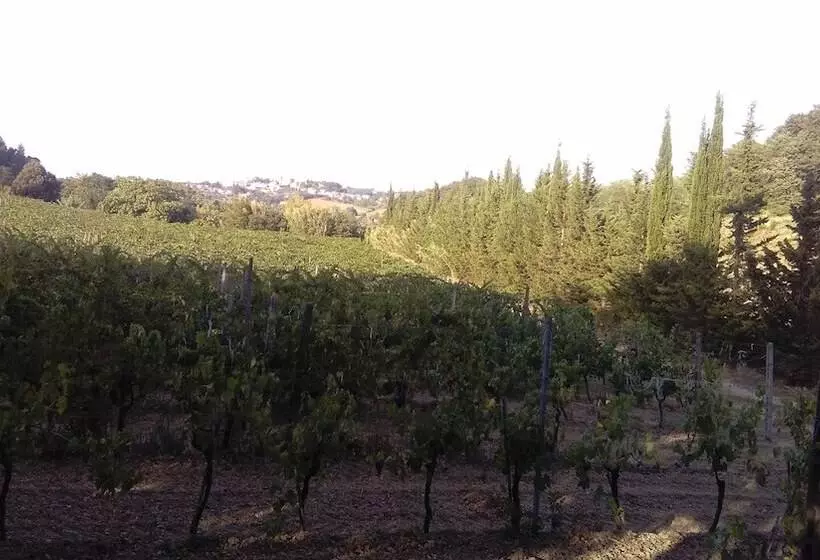 Maaseutuhotelli Agriturismo I Greppioli
