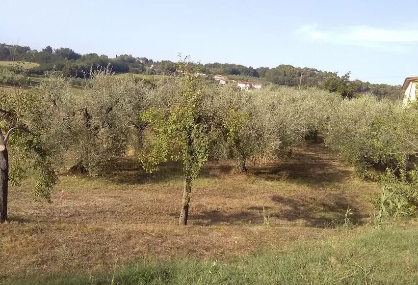 Maaseutuhotelli Agriturismo I Greppioli