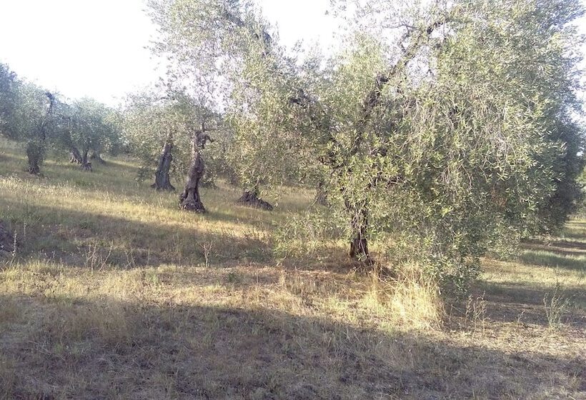 Сельский отель Agriturismo I Greppioli