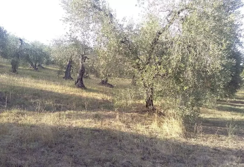 Maaseutuhotelli Agriturismo I Greppioli