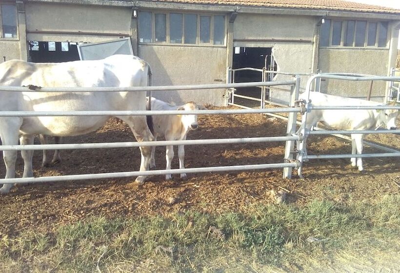 Сельский отель Agriturismo I Greppioli