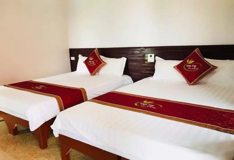 پانسیون Tam Coc Tea House Homestay