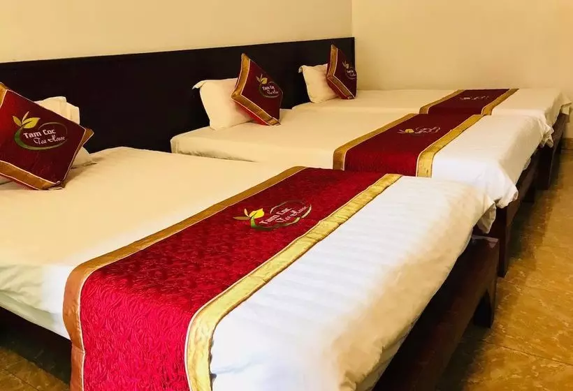 پانسیون Tam Coc Tea House Homestay