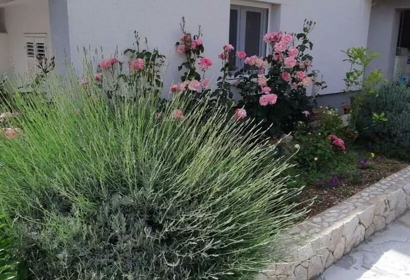 Apartmani Jelena