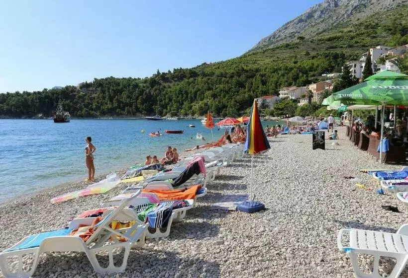 Apartmani Jelena