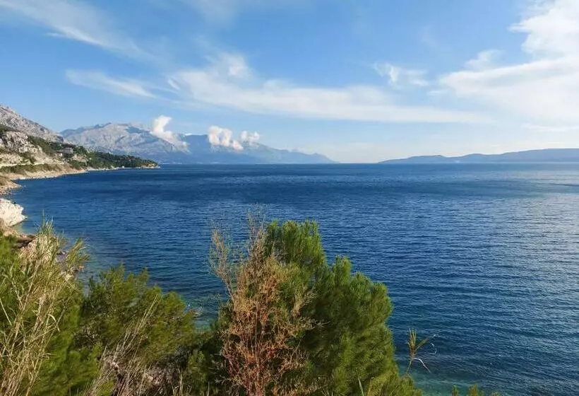 Apartmani Jelena