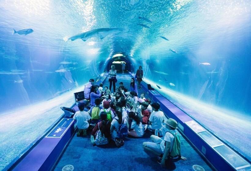 El Coral Apartment Valencia