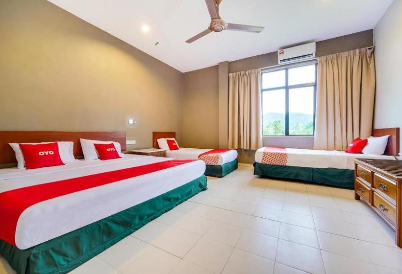 Oyo 89643 S.s Motel