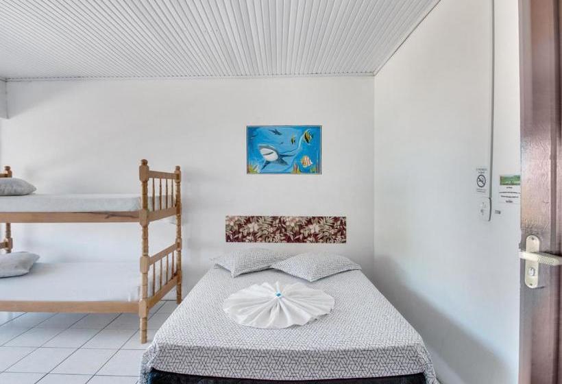 בית מלון כפרי Big