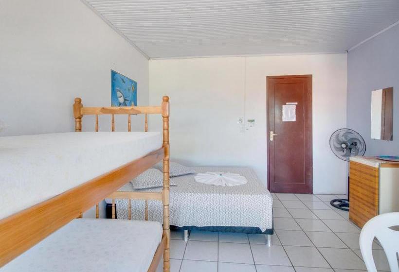 בית מלון כפרי Big