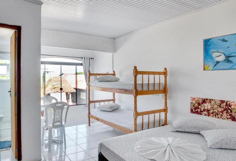 בית מלון כפרי Big