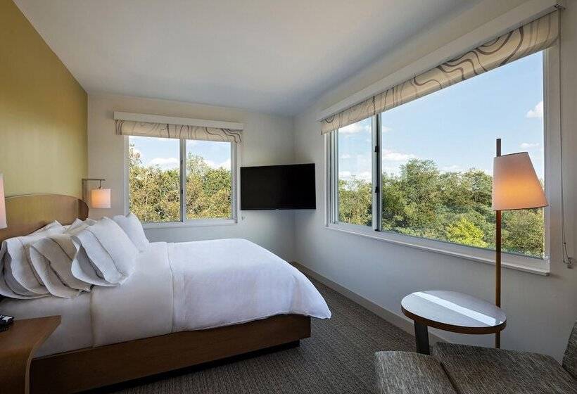 Hotelli Element Spring Valley